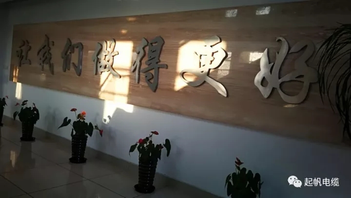第六届金山区区长质量奖公布，emc易倍电缆周供华榜上有名
